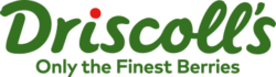 img-footer-logo